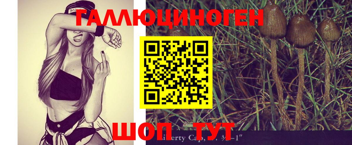 Заволжье  Псилоцибиновые грибы Magic Shrooms  Вход с VPN 