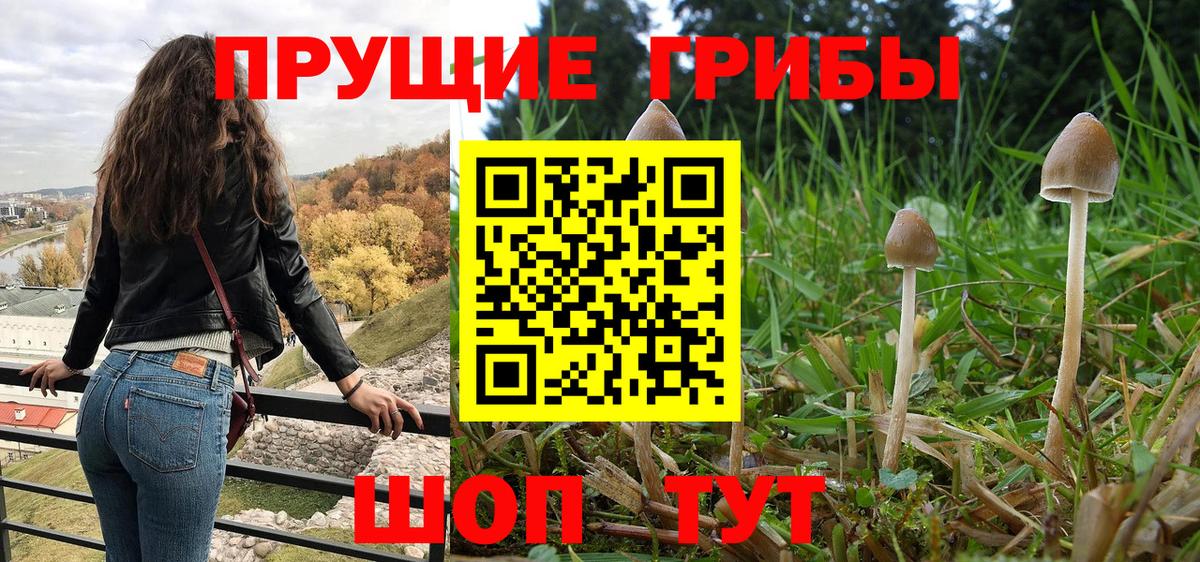 Псилоцибиновые грибы прущие грибы Заволжье