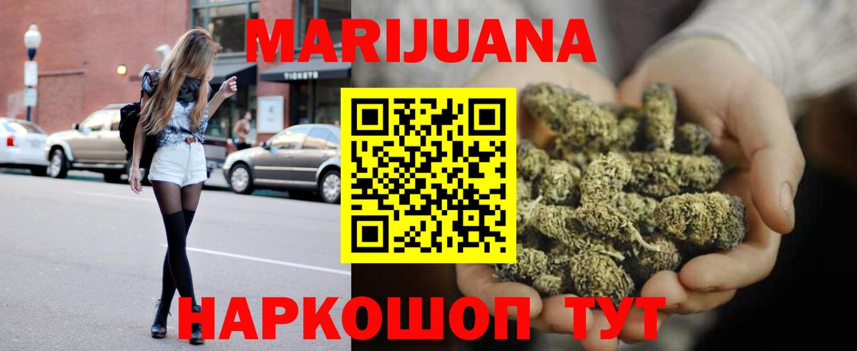 Конопля планчик Заволжье